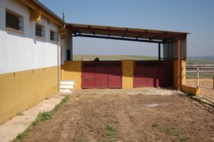 Boxes en cuarentena de la Escuela de equitación en Salamanca